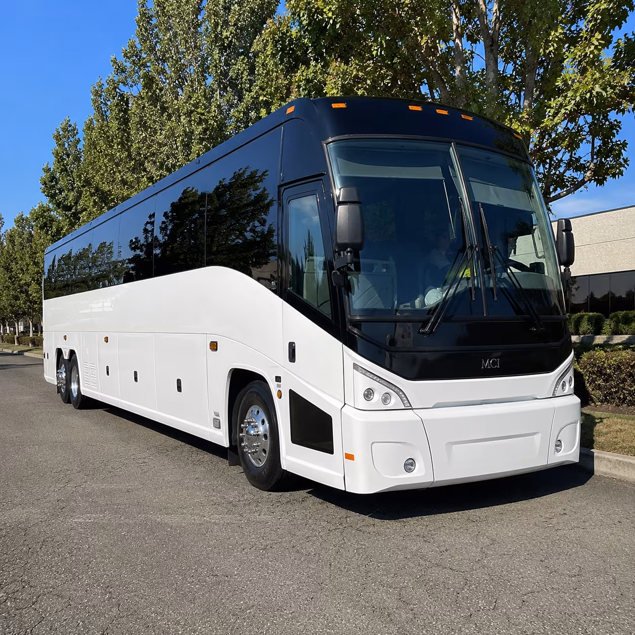 apex 50 passenger charter bus