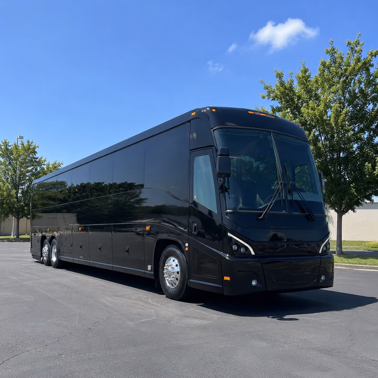apex 56 passenger charter bus