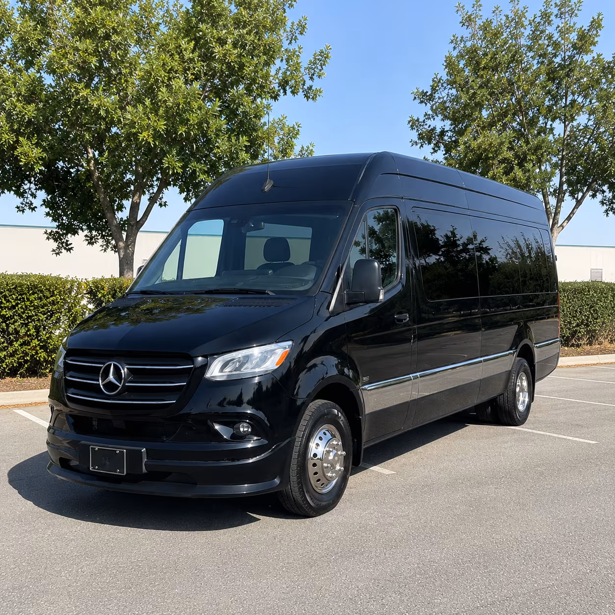 apex birthday party transportation onboard seating