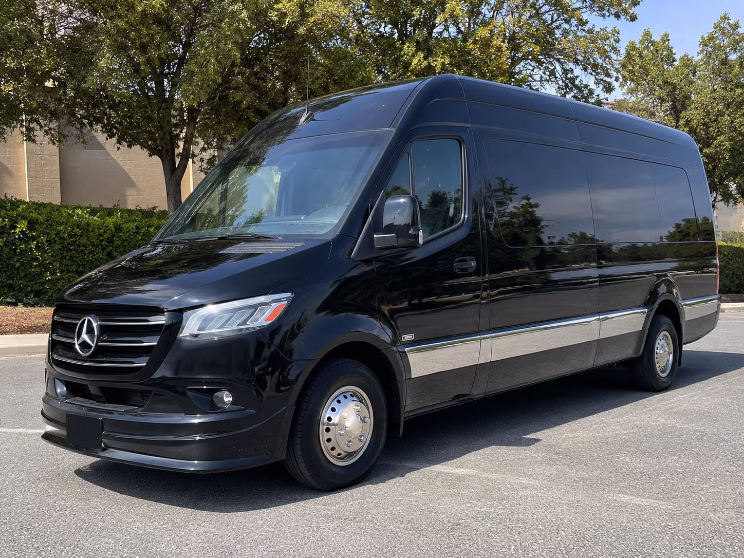 apex sprinter van with driver
