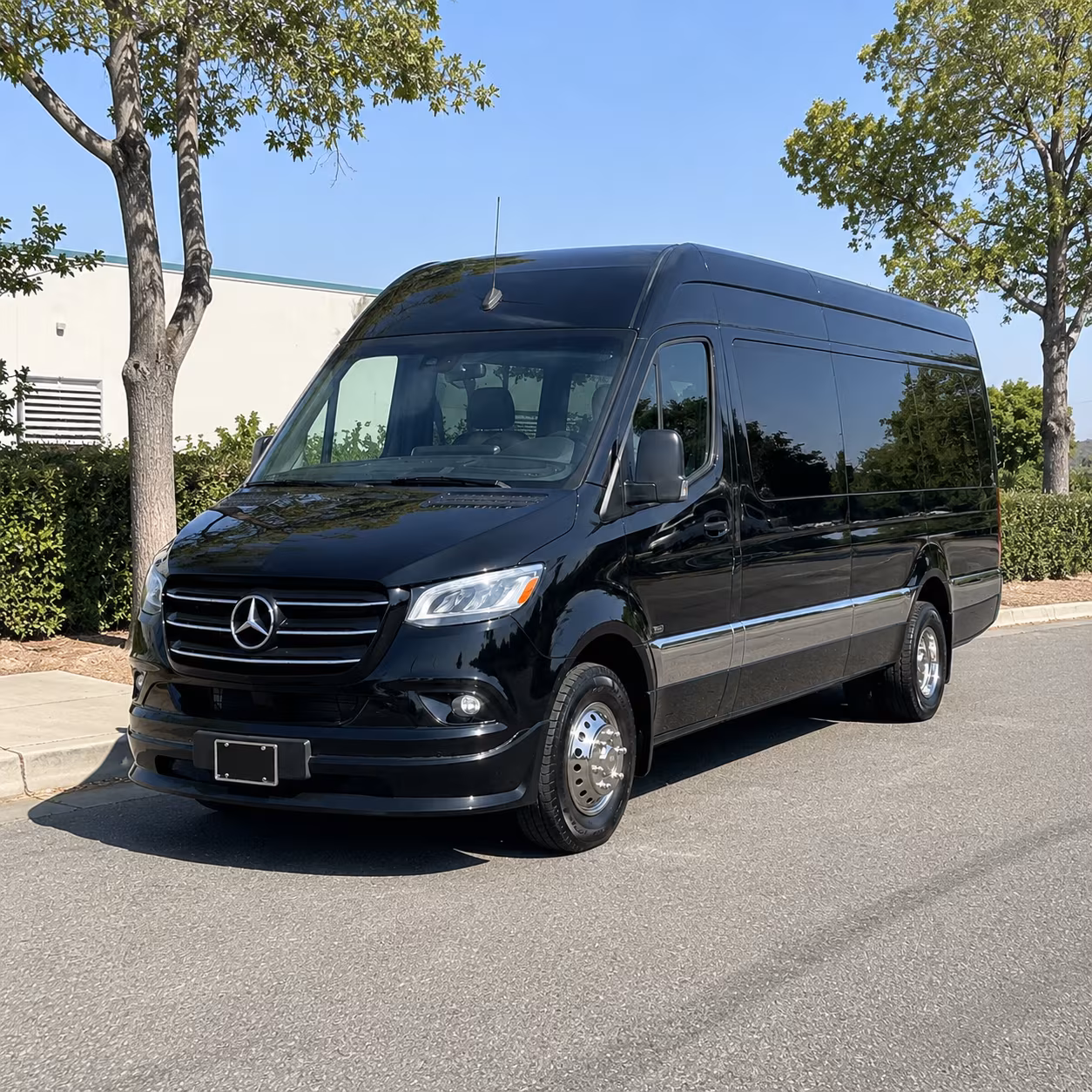 sprinter vans and minibuses for executive transportation in apex